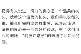 鄂州鄂州的要账公司在催收过程中的策略和技巧有哪些？